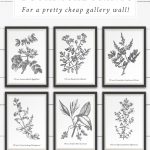 Free Vintage Botanical Prints Wall Art | Quotes & Printables   Free Printable Vintage Art