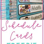 Freebie Schedule Cards | Classroom (When I Go Back :) | Preschool   Free Printable Classroom Labels For Preschoolers