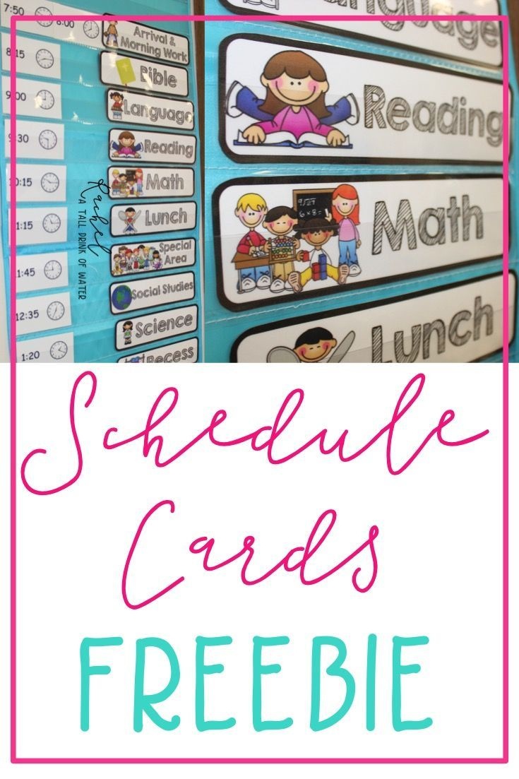 Freebie Schedule Cards | Classroom (When I Go Back :) | Preschool - Free Printable Classroom Labels For Preschoolers