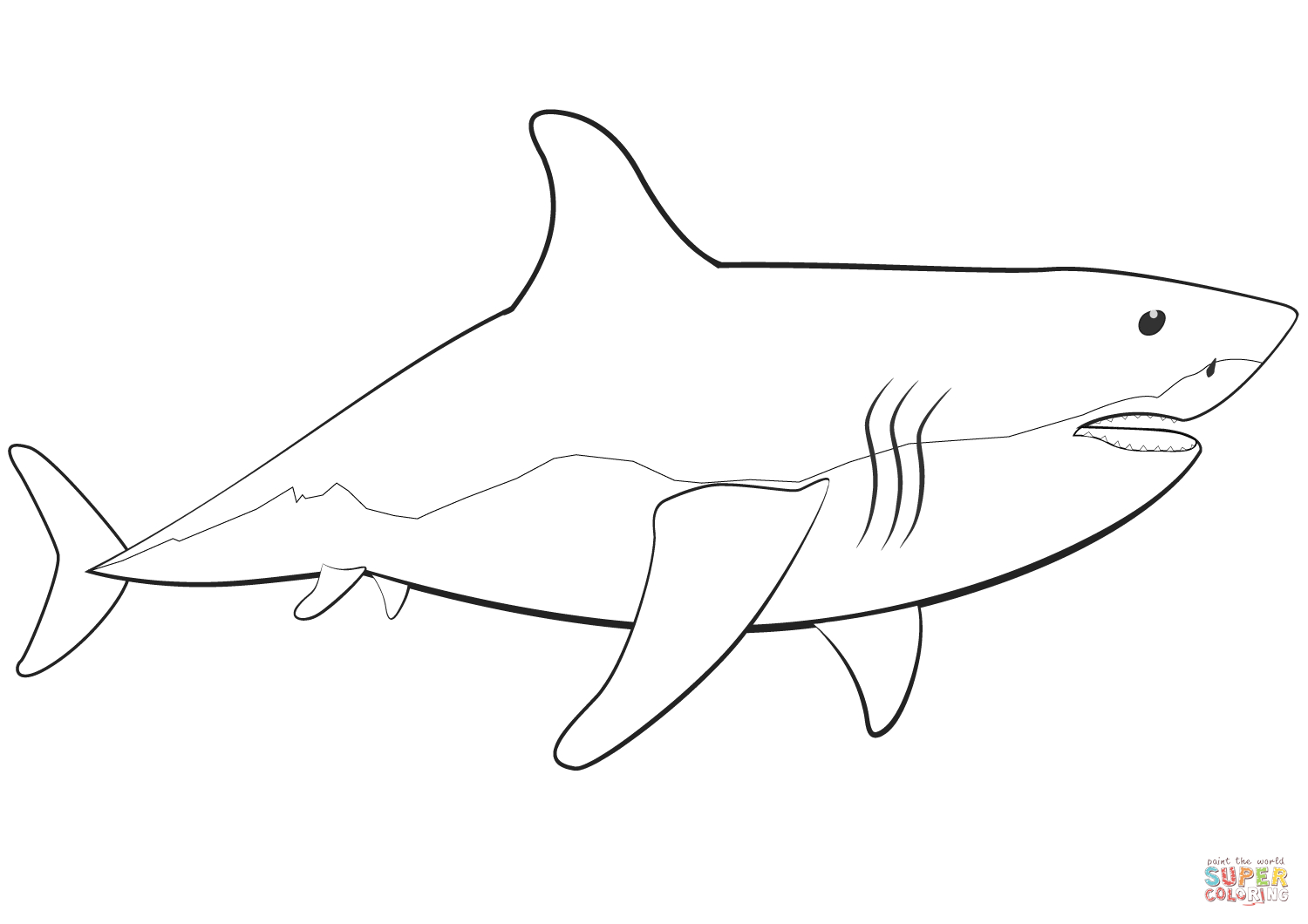 Great White Shark Coloring Page | Free Printable Coloring Pages - Free Printable Great White Shark Coloring Pages