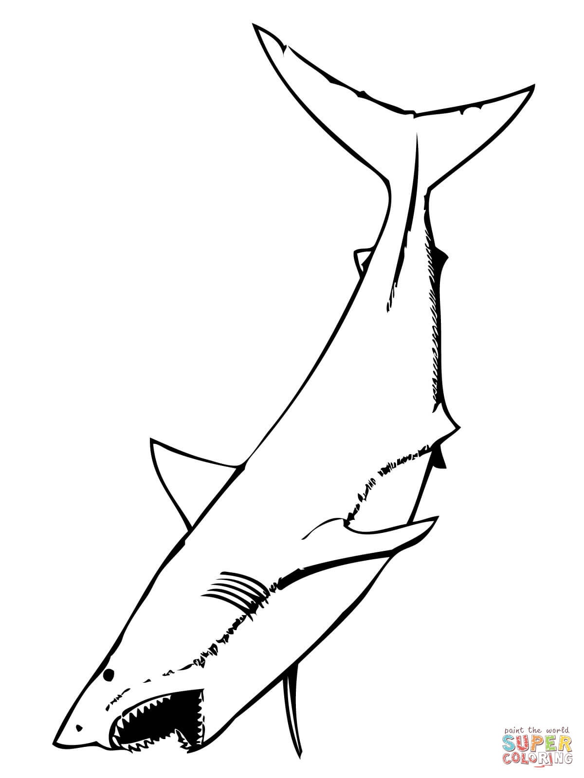 Great White Shark Coloring Pages | Free Coloring Pages - Free Printable Great White Shark Coloring Pages