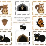 Hibernation & Migration Printable | Preschool | Preschool Printables   Free Printable Hibernation Worksheets