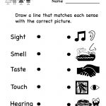 Kindergarten Five Senses Worksheet Printable | Teaching Ideas | Five   Free Printable Worksheets For Kids Science