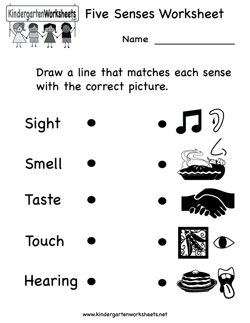 Kindergarten Five Senses Worksheet Printable | Teaching Ideas | Five - Free Printable Worksheets For Kids Science