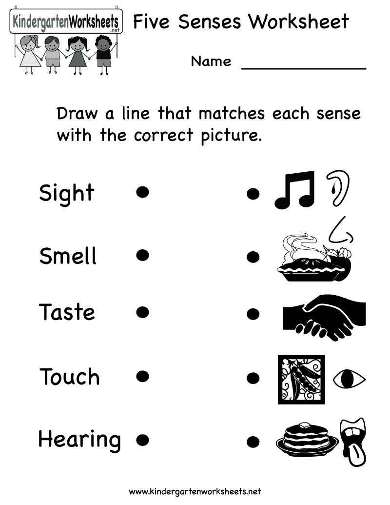 Kindergarten Five Senses Worksheet Printable | Teaching Ideas - Free Printable Worksheets Kindergarten Five Senses
