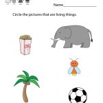 Kindergarten Kids Science Worksheet Printable | Science Worksheets   Free Printable Worksheets For Kids Science