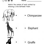 Kindergarten Zoo Animal Worksheet Printable | Worksheets (Legacy   Free Printable Zoo Worksheets