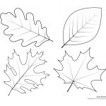 Leaf Templates & Leaf Coloring Pages For Kids | Leaf Printables   Free Printable Leaf Template