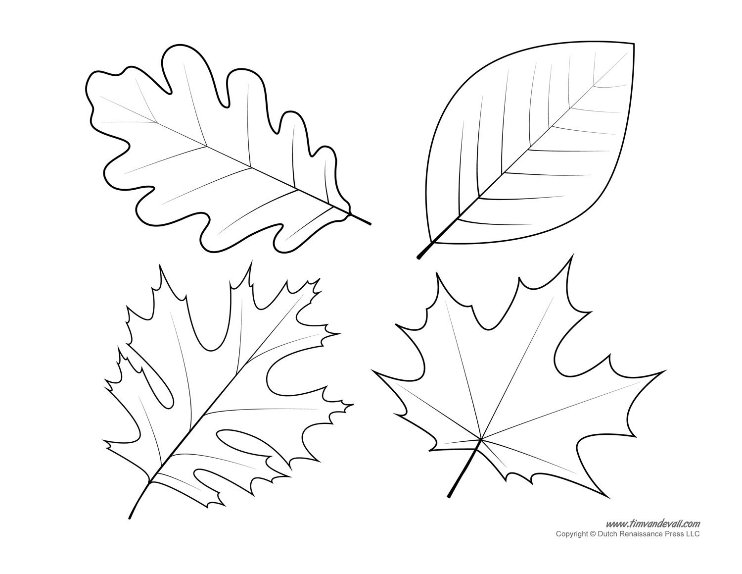 Leaf Templates &amp;amp; Leaf Coloring Pages For Kids | Leaf Printables - Free Printable Leaves