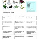 Let's Talk About Reptiles Worksheet   Free Esl Printable Worksheets   Free Printable Reptile Worksheets