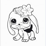 Littlest Pet Shop Coloring Pages For Kids To Print For Free Intended   Littlest Pet Shop Free Printable Coloring Pages