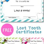Lost Tooth Certificate | New England Teacher | Teaching First Grade   Free Printable First Lost Tooth Certificate