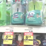 Meijer Coupons From Free Tastes Good! With Joni Meyer Crothers   Lysol Hands Free Soap Dispenser Printable Coupon