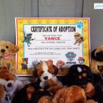 Mr. V's Paw Patrol 4Th Birthday Party   The Fun! •   Free Printable Stuffed Animal Adoption Certificate