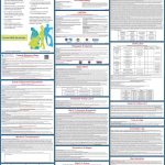 New York State And Federal Labor Law Poster 2019 | State & Federal   Free Printable Osha Posters