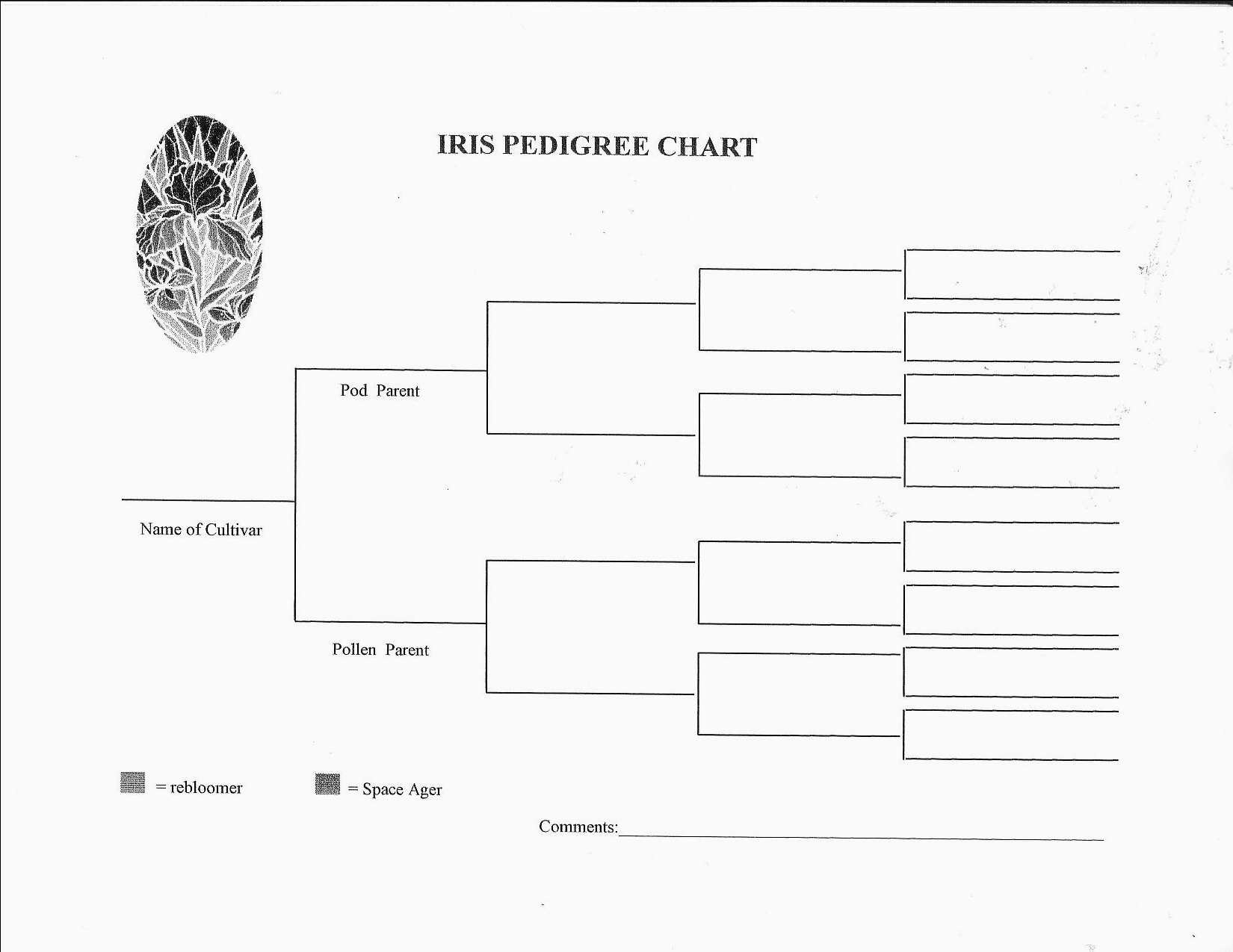 Nice Dog Pedigree Chart Template Images Gallery. 4 Generation Family - Free Printable Dog Pedigree Generator