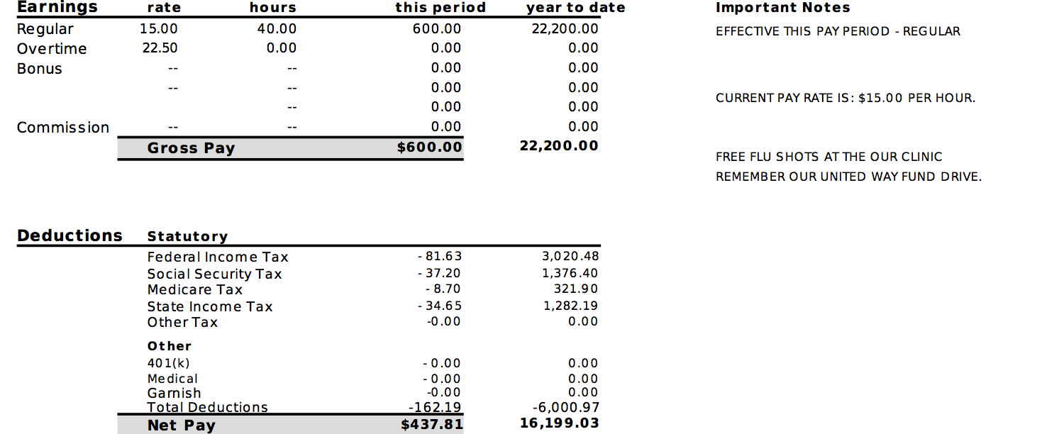 Pay Stub Info - Learn - Examples - Testimonials - Free Preview - Free Printable Pay Stubs