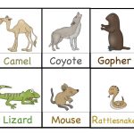 Preschool Printables: Desert Animals Printable | Themed Lesson Plan   Free Printable Desert Animals