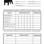 Printable Dog Shot Record Forms | Cute Pets | Dog Shots, Dogs, Dog   Free Printable Dog Shot Records