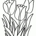 Printable Tulips Flower Coloring Pages | Watercolor | Tulip Colors   Free Printable Tulip Coloring Pages