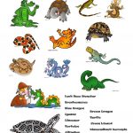 Reptiles Worksheets   Tutlin.psstech.co   Free Printable Reptile Worksheets