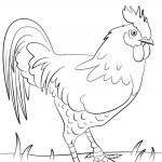 Rooster Coloring Page | Free Printable Coloring Pages   Free Printable Pictures Of Roosters