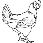 Rooster | Print. Color. Fun! Free Printables, Coloring Pages, Crafts   Free Printable Pictures Of Roosters