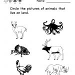 Science Printables For Kids | Life Science Animal Worksheet   Free   Free Printable Worksheets For Kids Science