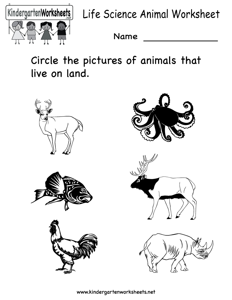 Science Printables For Kids | Life Science Animal Worksheet - Free - Free Printable Worksheets For Kids Science