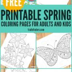 Spring Coloring Pages For Grown Ups And Kids | Spring Theme  Flowers   Free Printable Spring Pictures To Color