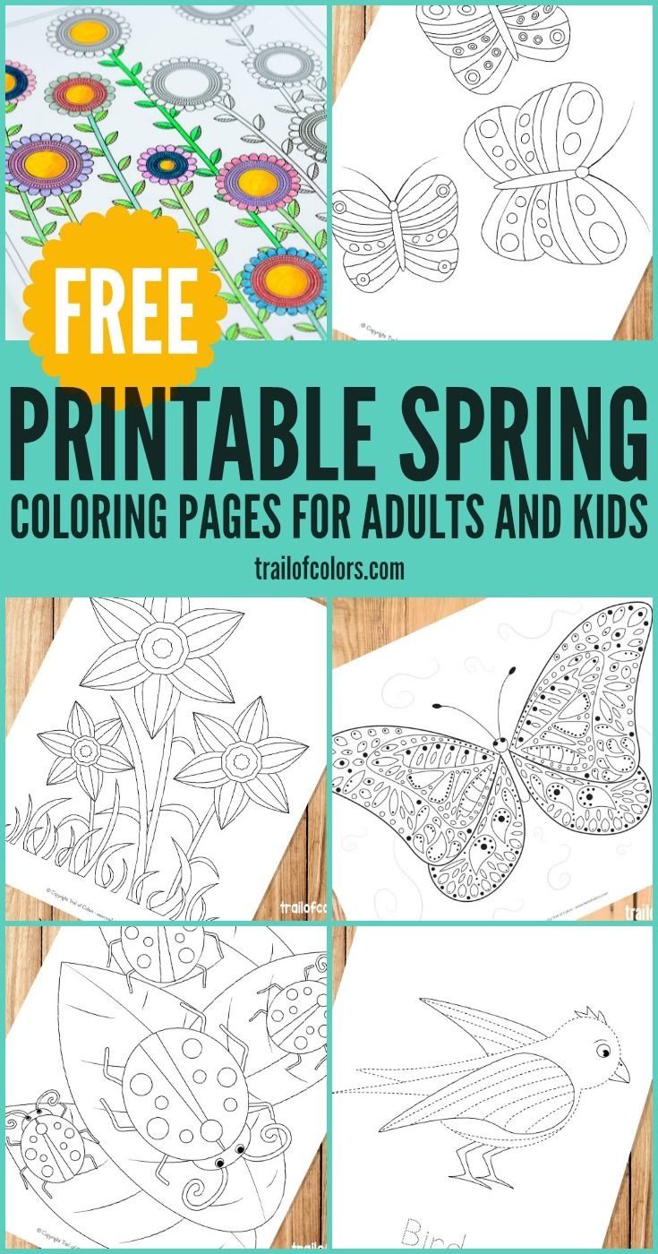 Spring Coloring Pages For Grown Ups And Kids | Spring Theme--Flowers - Free Printable Spring Pictures To Color