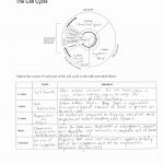 Then Free Printable Science Worksheets For 8Th Grade   Free Printable Science Worksheets