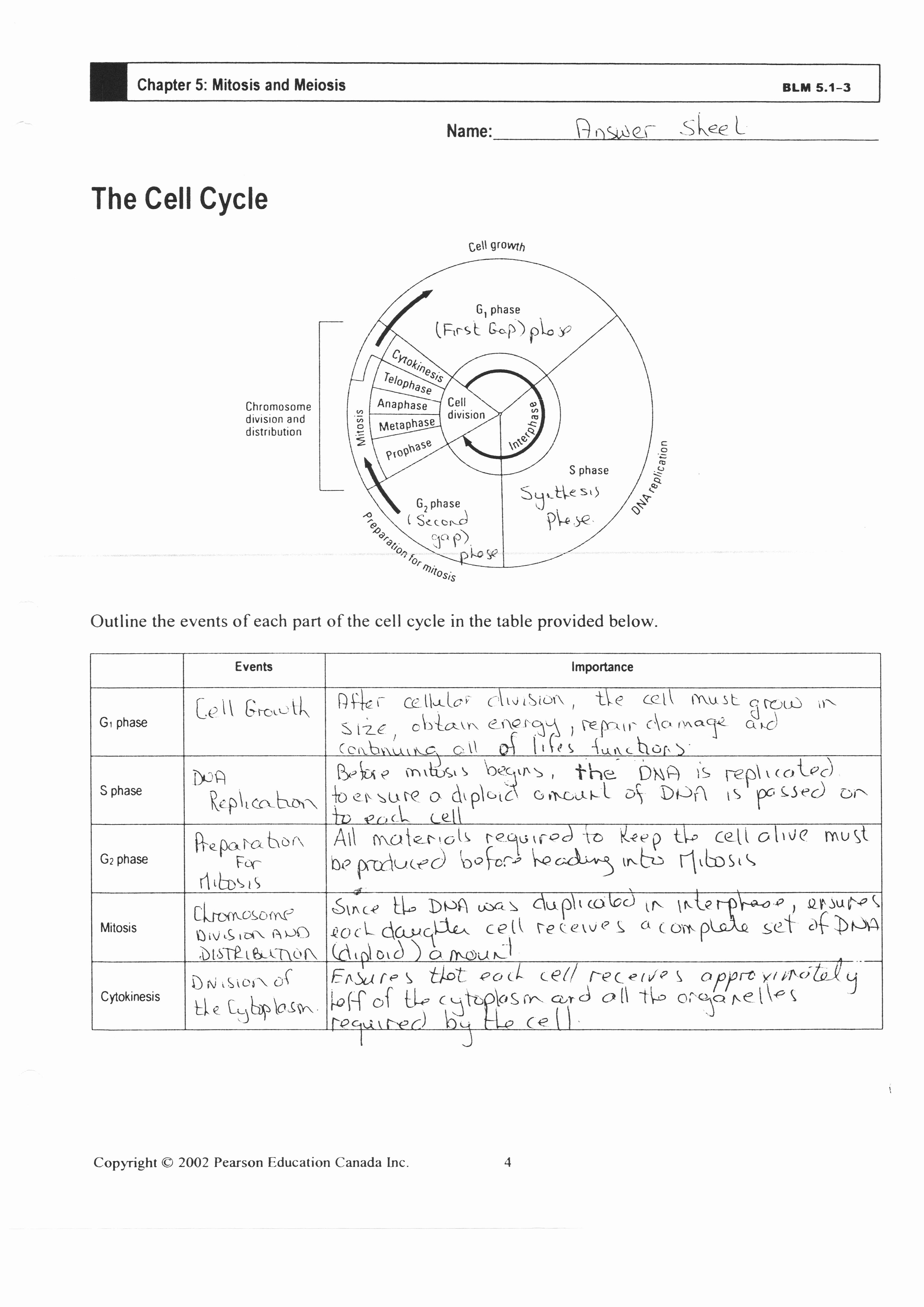 Then Free Printable Science Worksheets For 8Th Grade - Free Printable Science Worksheets