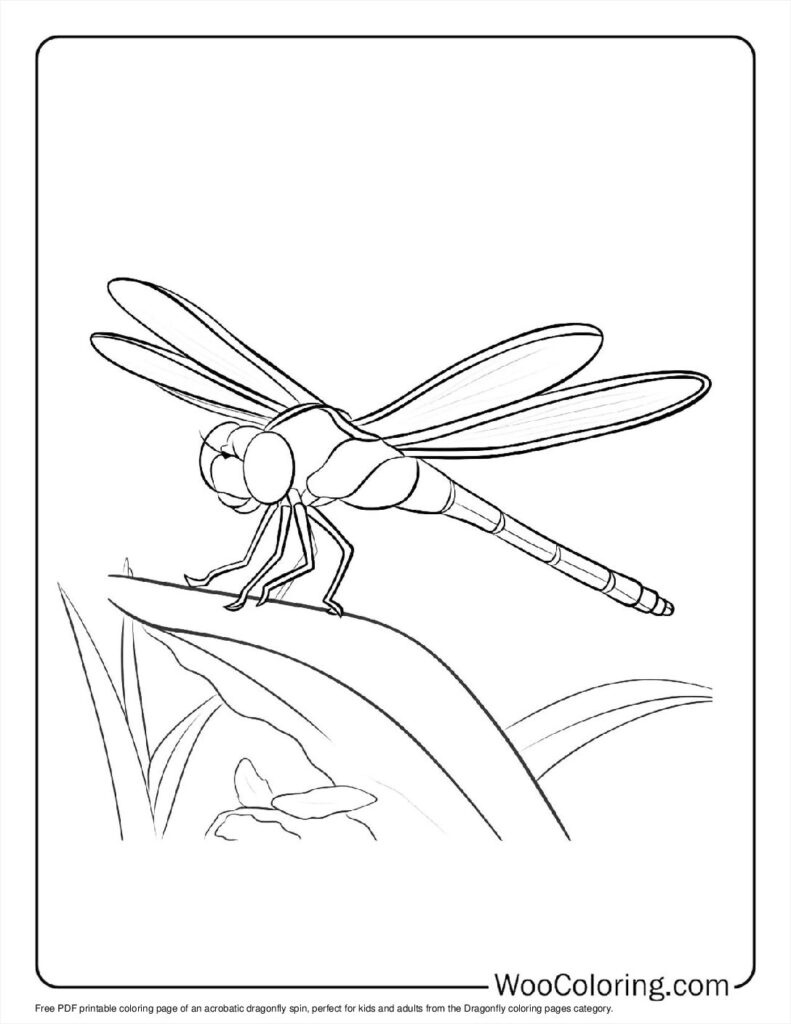 100+ Dragonfly Coloring Pages (Free Pdf To Print) | Woo Coloring intended for Free Printable Pictures Of Dragonflies