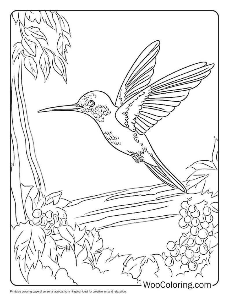 100+ Hummingbird Coloring Pages (Free Pdf To Print) | Woo Coloring with Free Printable Pictures Of Hummingbirds