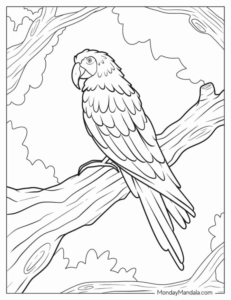22 Parrot Coloring Pages (Free Pdf Printables) throughout Free Printable Parrot Coloring Pages
