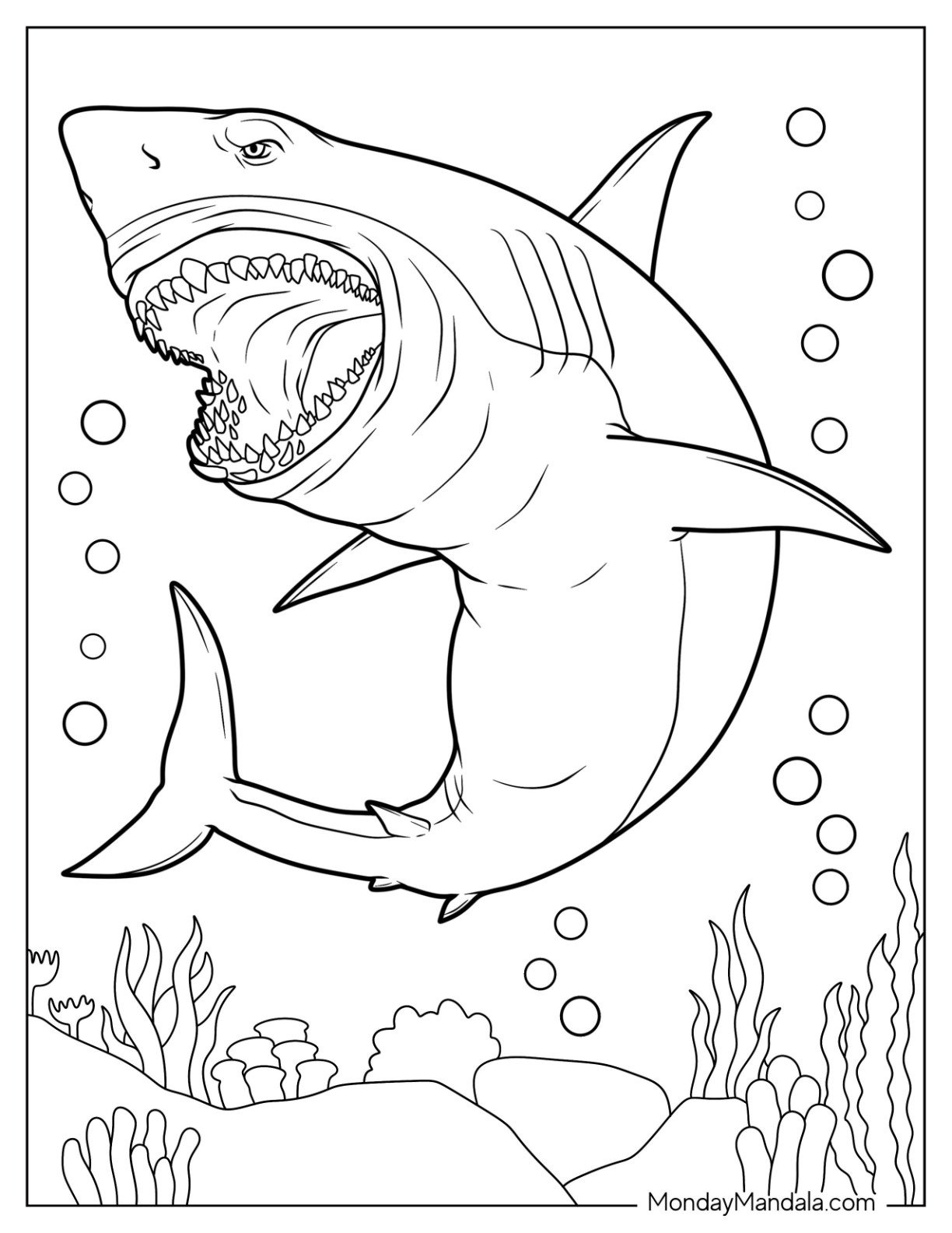 34 Shark Coloring Pages (Free Pdf Printables) inside Free Printable Shark Coloring Pages
