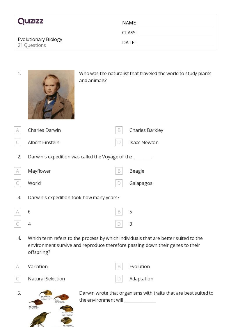 50+ Biology Worksheets On Quizizz | Free &Amp; Printable inside Free Printable Biology Worksheets For High School