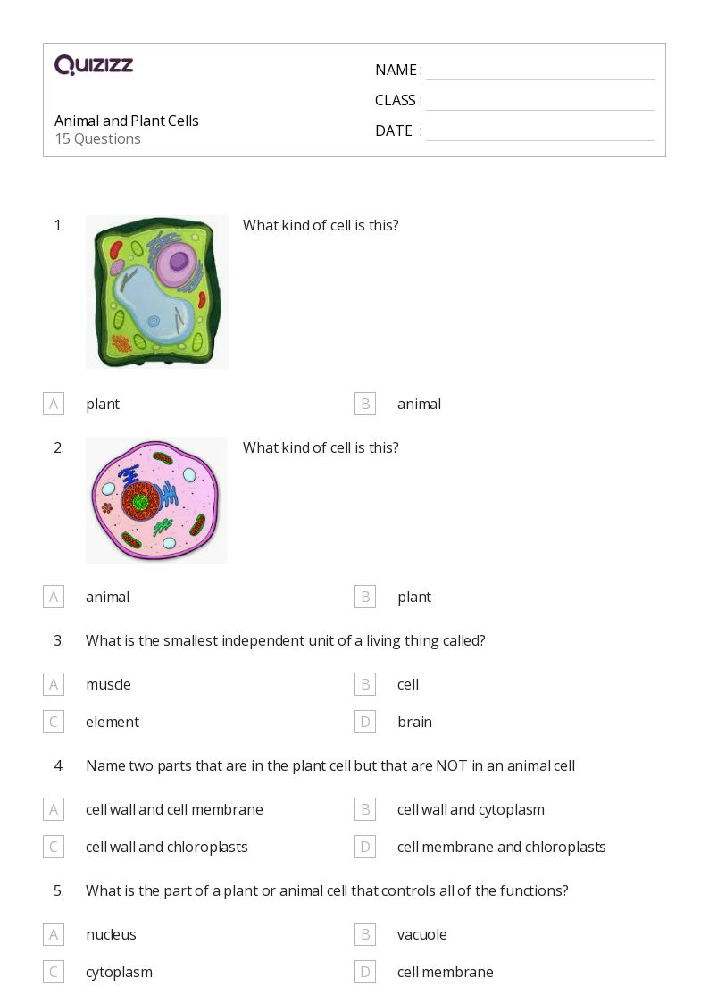 50+ Plant And Animal Cell Worksheets On Quizizz | Free &Amp regarding Free Printable Cell Worksheets