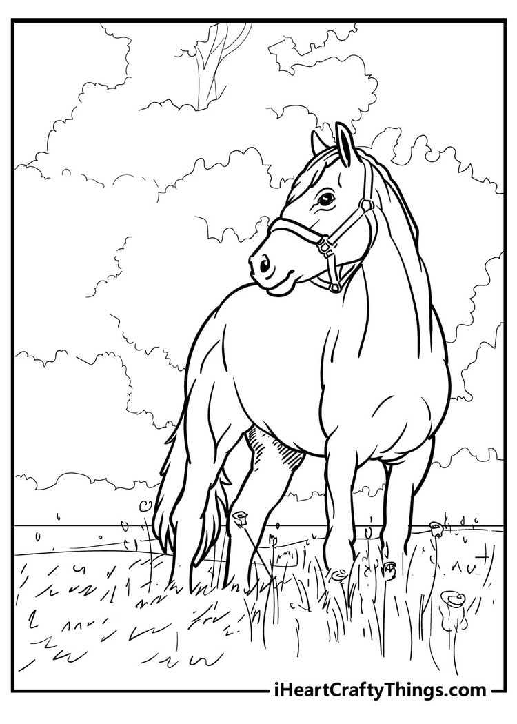 65 Horse Coloring Pages (100% Free Printables) - Worksheets Library throughout Free Printable Horse Coloring Pages