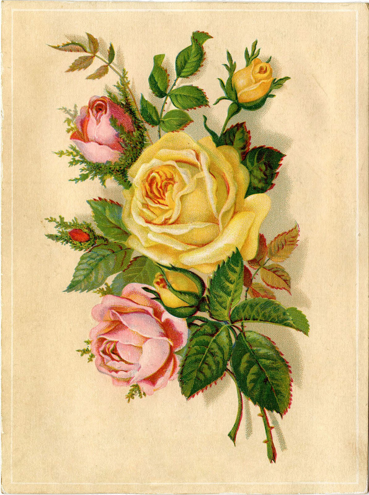 672 Vintage Flower Images! - The Graphics Fairy pertaining to Free Printable Decoupage Flowers