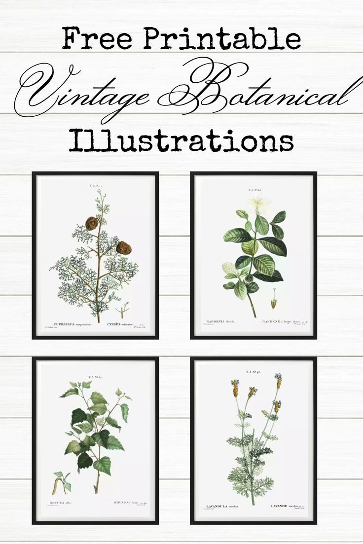 9 Super Easy Bathroom Wall Decor Ideas pertaining to Free Printable Wall Art For Bathroom