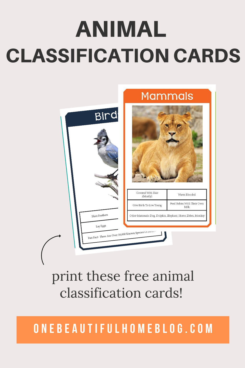 Animal Classification Cards - One Beautiful Home inside Free Printable Animal Classification Cards