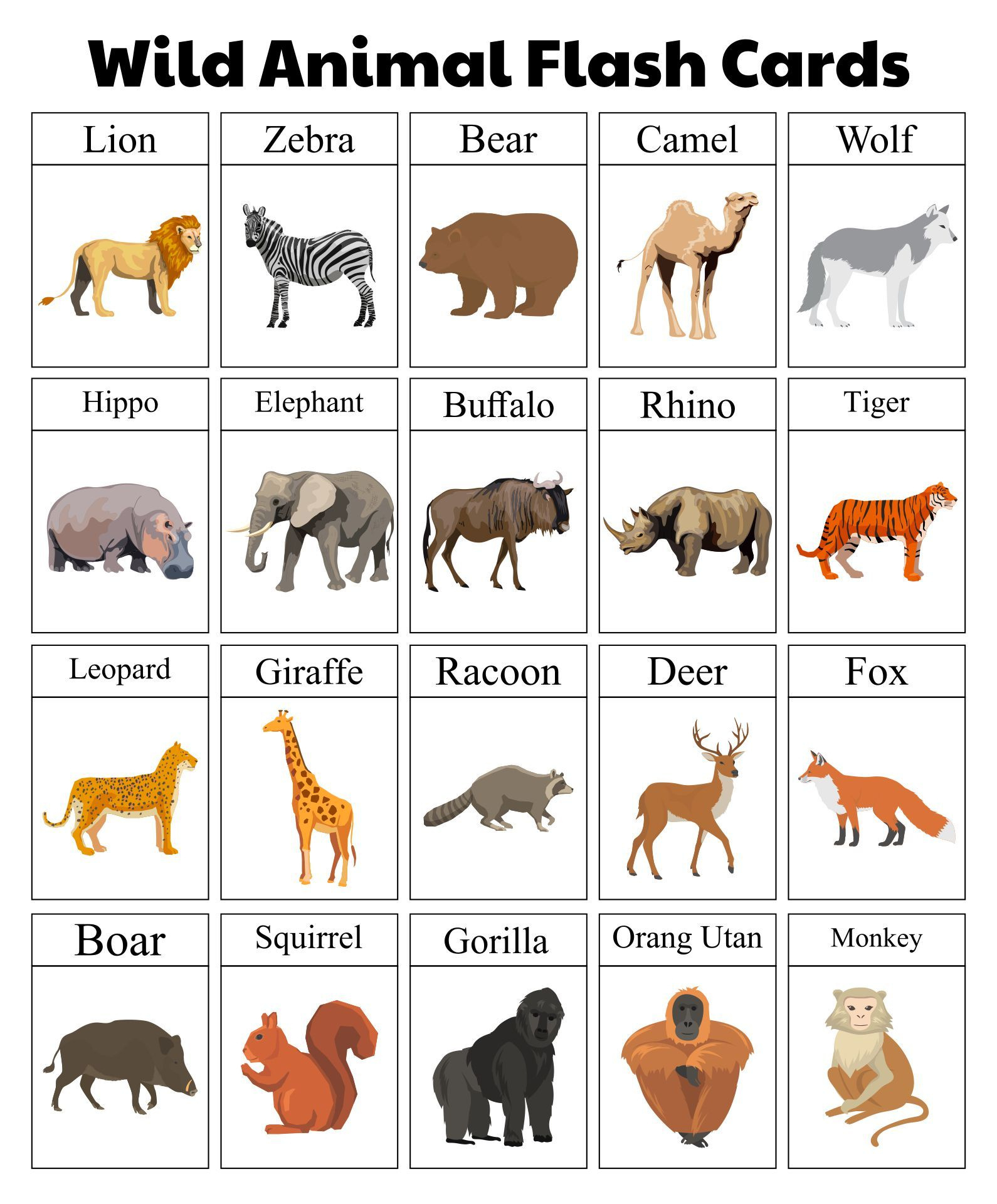 Animal Flash Cards - 10 Free Pdf Printables | Printablee inside Free Printable Animal Cards