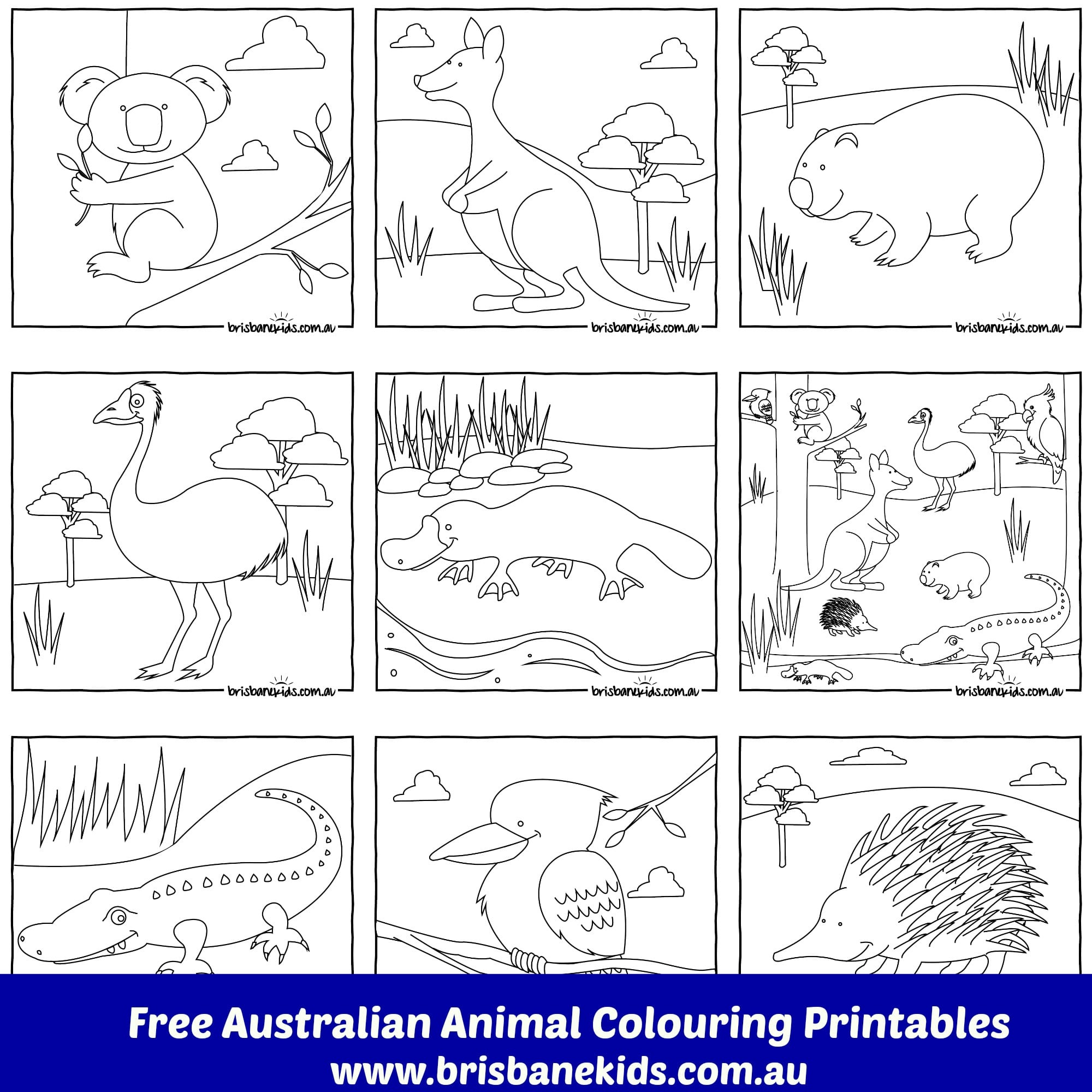 Australian Animals Colouring Pages - Brisbane Kids regarding Free Printable Australian Animals