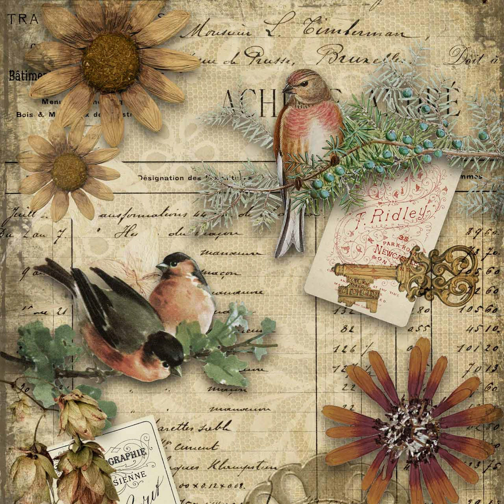 Autumn Birds - A0 Rice Decoupage Paper - Decoupage Queen | Maika with regard to Free Printable Decoupage Images