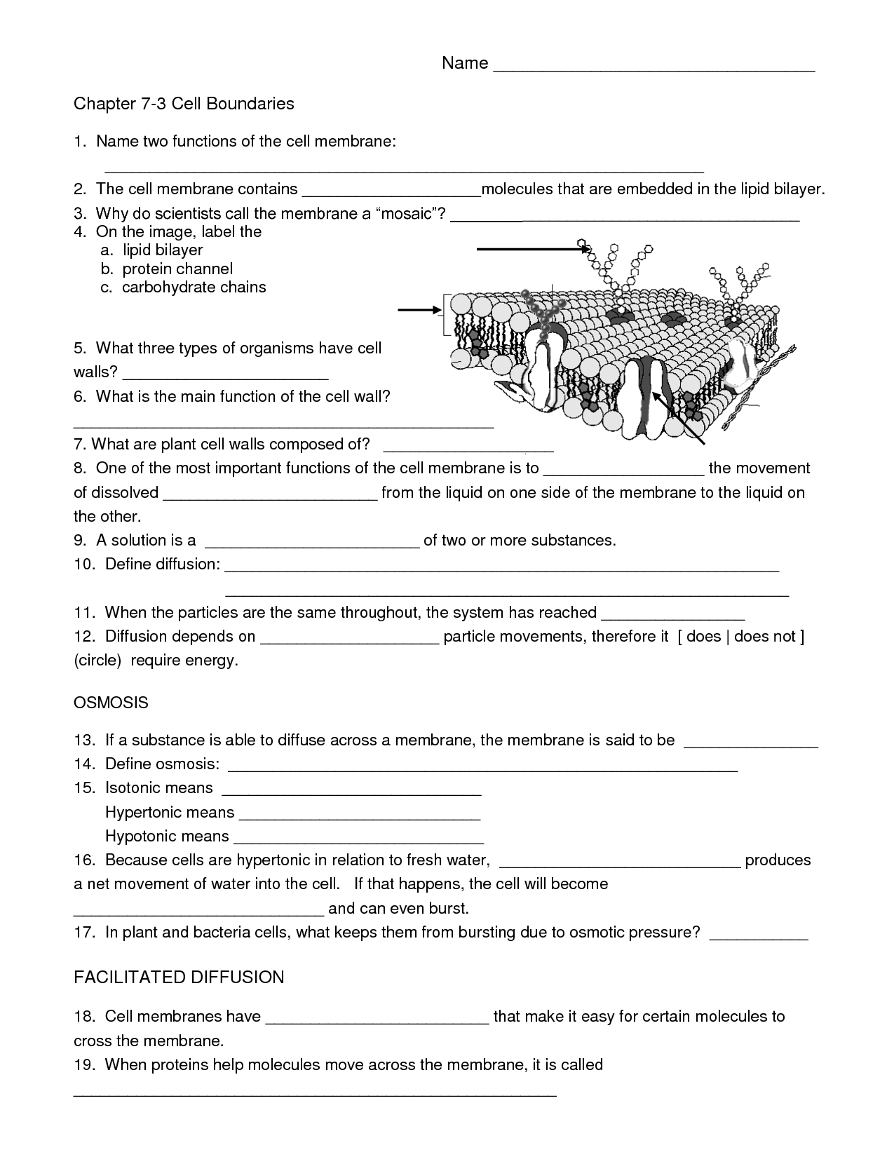 Biology Cell Worksheets - Worksheets Library intended for Free Printable Biology Worksheets For High School