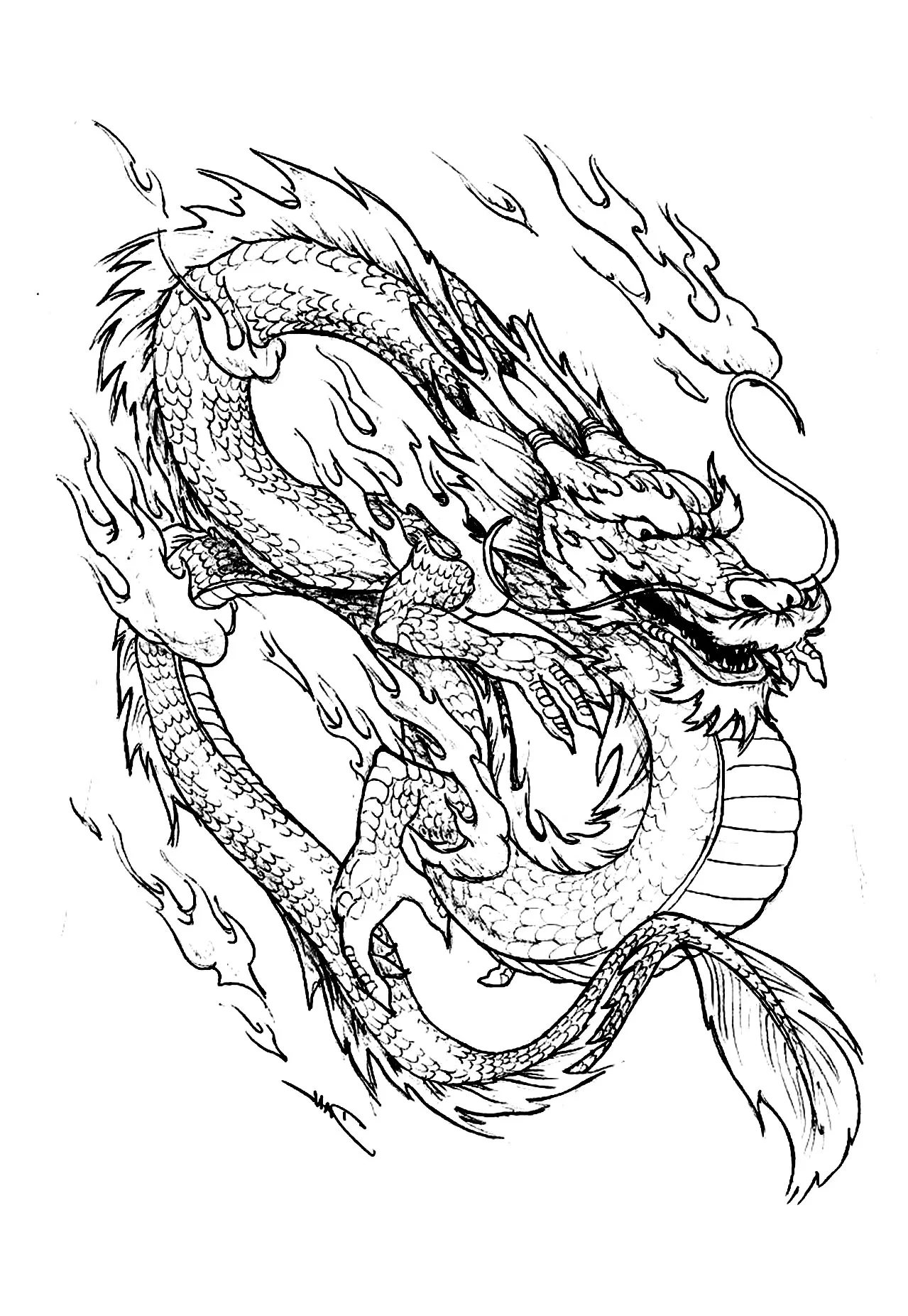Chinese Dragon - China & Asia Coloring Pages For Adults intended for Free Printable Chinese Dragon Coloring Pages