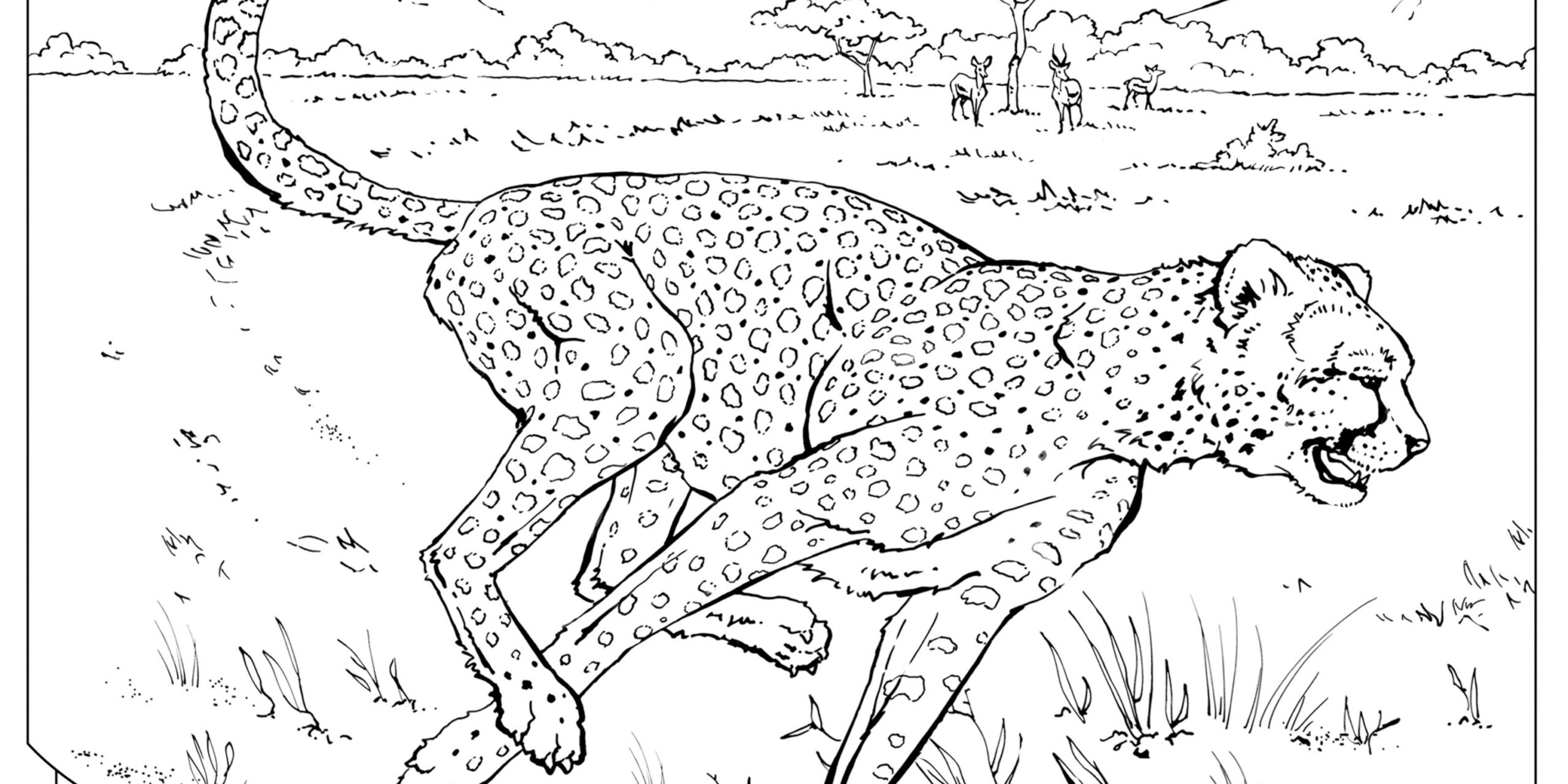 Coloring Book: Animals (A To I) | National Geographic Kids throughout Free Printable Realistic Animal Coloring Pages