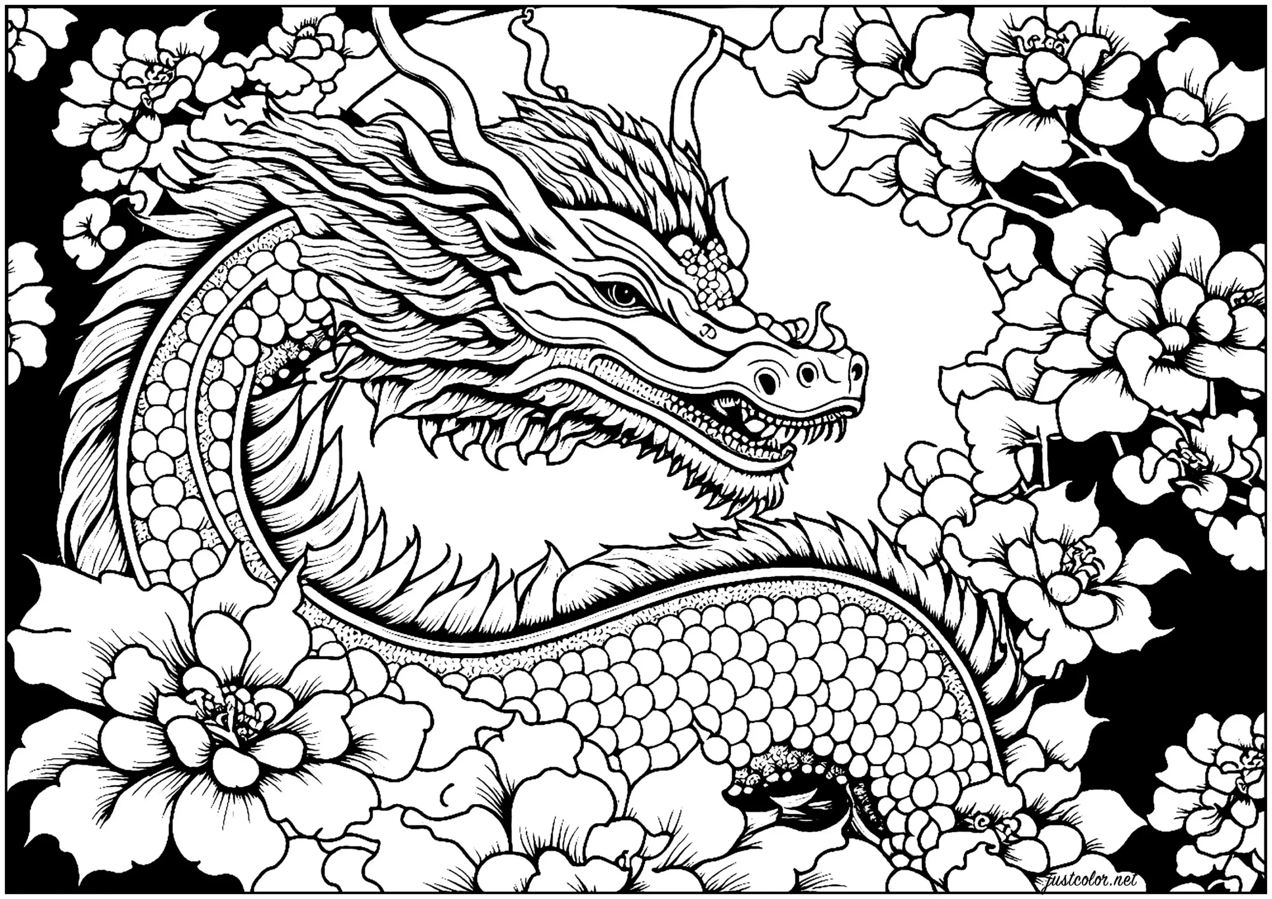 Dragon And Flowers - Dragon Coloring Pages For Adults inside Free Printable Chinese Dragon Coloring Pages